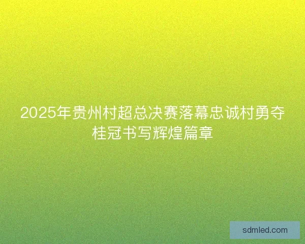 2025年贵州村超总决赛落幕忠诚村勇夺桂冠书写辉煌篇章