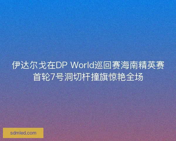 伊达尔戈在DP World巡回赛海南精英赛首轮7号洞切杆撞旗惊艳全场