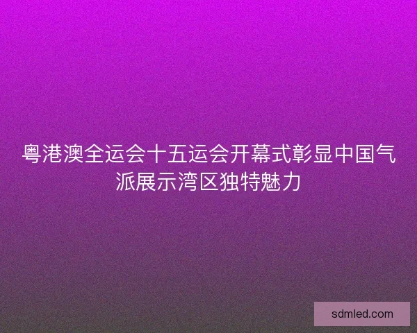 粤港澳全运会十五运会开幕式彰显中国气派展示湾区独特魅力